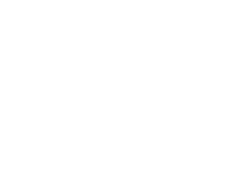 Vivacci International
