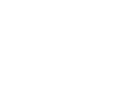Vivacci International